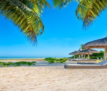 Организирани речни и морски круизи