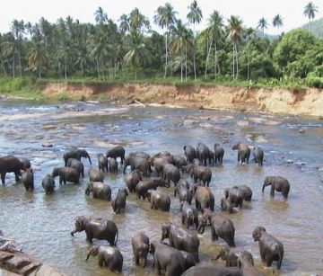 Шри Ланка - декември 2025 - промоция - 350 лева отстъпка