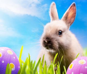 Почивка в ИСПАНИЯ - Великден на Коста дел Сол