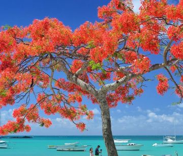 Почивка на остров Мавриций