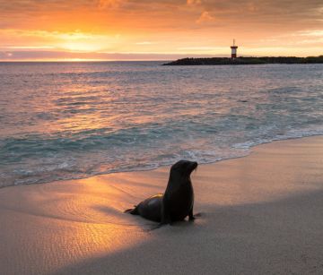 Екскурзия в ЕКВАДОР и островите Галапагос - рай в центъра на света