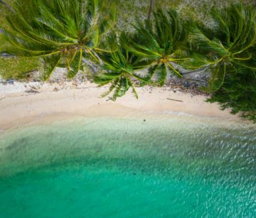 ПОЧИВКА ДОМИНИКАНА 30.12.2025