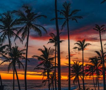 САЩ - Западно крайбрежие 09.04.2026, 12.05.2026, 23.06.2026, 22.09.2026