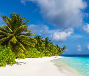 Круиз „Карибски хоризонти- Море, слънце и мечти“ -ПОТВЪРДЕНА ГРУПА! - 21.01.2026