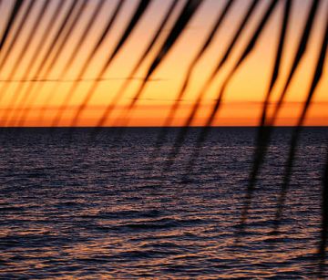 КУБА И ЯМАЙКА- II вар. 16.01.2026, 06.02.2026, 13.03.2026, 08.04.2026, 04.05.2026, 20.11.2026, 08.12.2026