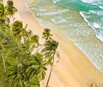 Почивка Доминикана 26.12.2025