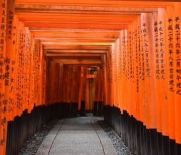 ЯПОНИЯ И СЕУЛ  16.04.2026