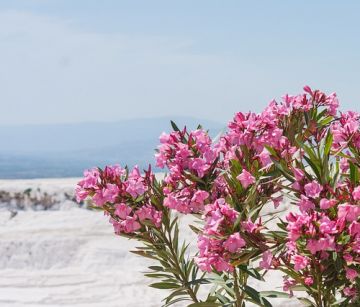 Нова година 2026 в Памуккале, Турция със собствен транспорт