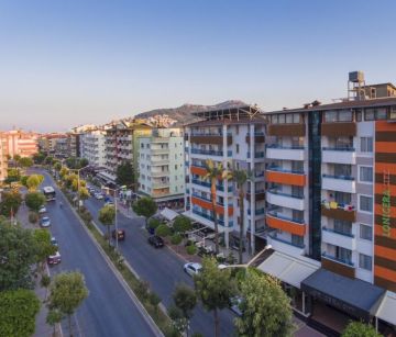 LONICERA CITY KLEOPATRA