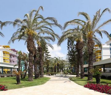 CRYSTAL PARADISO VERTE
