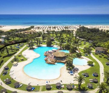 Sentido Phenicia Superior