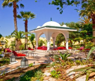 Samira Club Standard